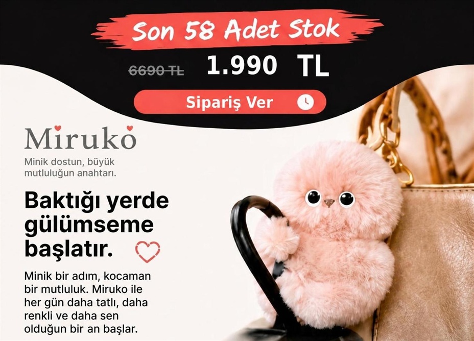 Mirumi sevimli robot